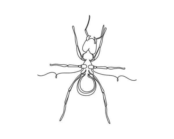 Continu Een Lijntekening Van Mierenpictogram Silhouet Een Witte Achtergrond Lineair — Stockvector