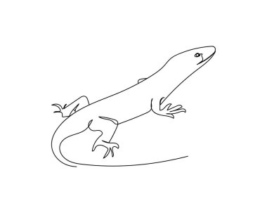 Beyaz arka planda kertenkele simgesinin sürekli bir çizgi çizimi. Doğrusal biçimlendirilmiş.