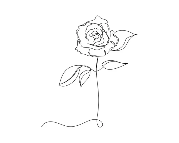 Dibujo Continuo Una Línea Flor Rosa Silueta Sobre Fondo Blanco — Archivo Imágenes Vectoriales