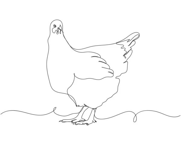 Dessin Continu Oiseau Poule Silhouette Sur Fond Blanc Stylisé Linéaire — Image vectorielle