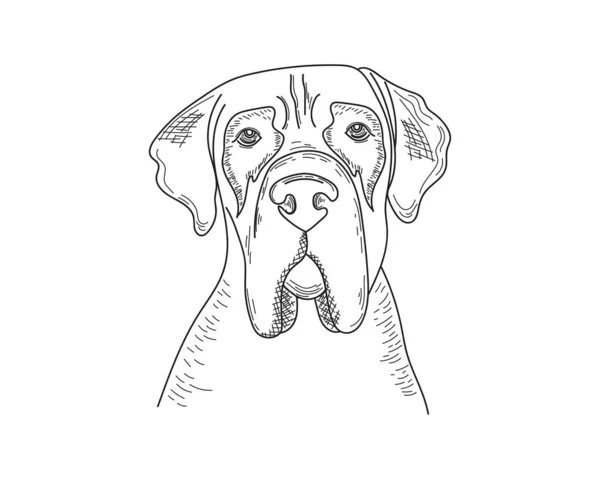 Векторна Ілюстрація Собака Серйозним Виразом Значка Силуеті Білому Тлі — стоковий вектор