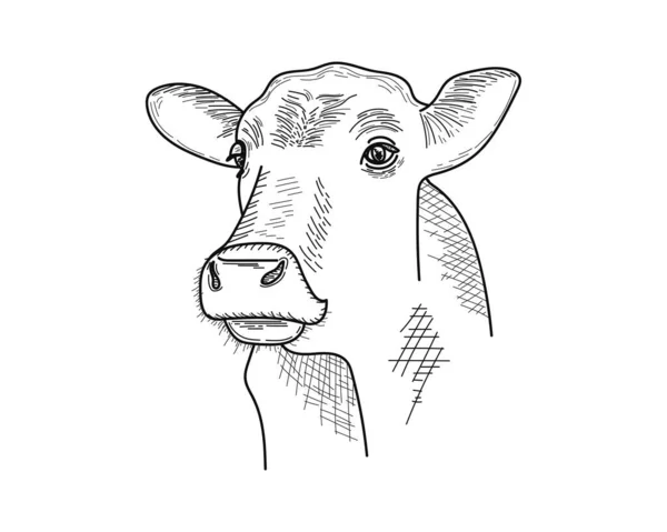 Vektorová Ilustrace Roztomilá Kráva Farmě Skica Ikona Siluetě Bílém Pozadí — Stockový vektor
