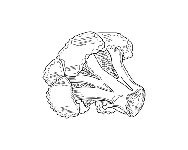 Векторная Иллюстрация Икона Брокколи Силуэте Белом Фоне — стоковый вектор