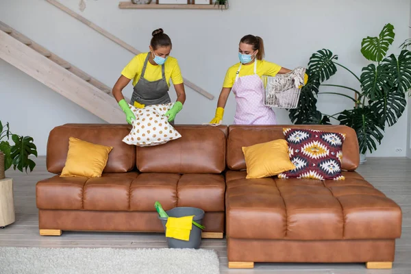 Professional cleaning service. Two uniformed cleaners wipe the sofa. Cleaning of furniture in the living roo before winter holidays