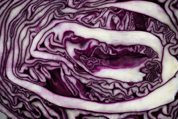 Rotkohl Textur Ein Muster Mit Gewundenen Linien Lila Abstraktion Gemüse — Stockfoto