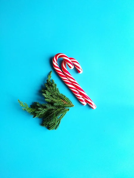 Zuckerstangen mit kleinen Wacholderzweigen. Minimalistisches Weihnachtskonzept — Stockfoto