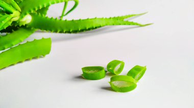 Aloe Agave beyaz arka planda bir bitkinin yanında dilimlere ayrılmış.
