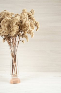 Hafif arka planda şeffaf bir vazoda pampa otu. eko dekor kavramı