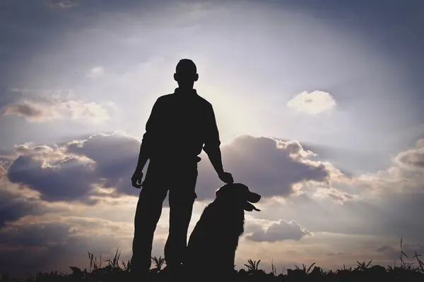 Mannen & hond silhouet — Stockfoto