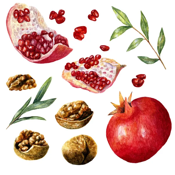 Uppsättning Tropiska Frukter Och Nötter Akvarell Granatäpplen Wallnuts Och Blad — Stockfoto