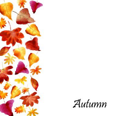 Suluboya şablonu. Sonbahar yapraklı arka plan meşe, kavak, rovan ve yazı için yer. Düğün, davetiye ya da kartlar için tasarım