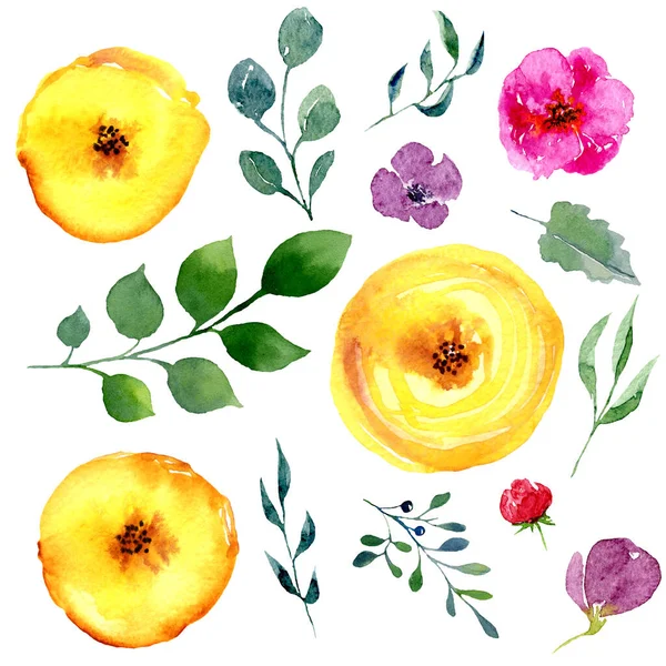 Uppsättning Akvarell Blommor Och Blad Kollektion Naturliga Handritade Element Blad — Stockfoto