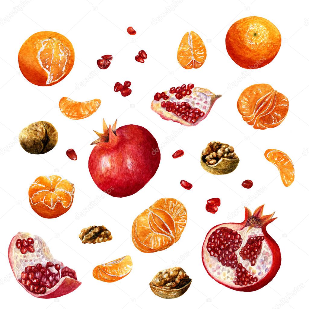 Set of watercolor tropical fruits and nuts - pomegranates, walnuts and mandarins. Collection of decorative hand drawn elements. Garnet, slice, seeds and tangerines for design isolated on white background