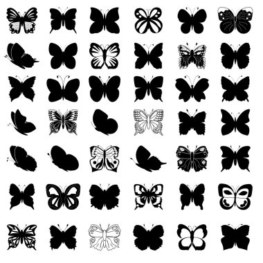 Greate koleksiyonu kelebek