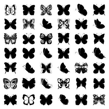 Kelebeklerin büyük toplama