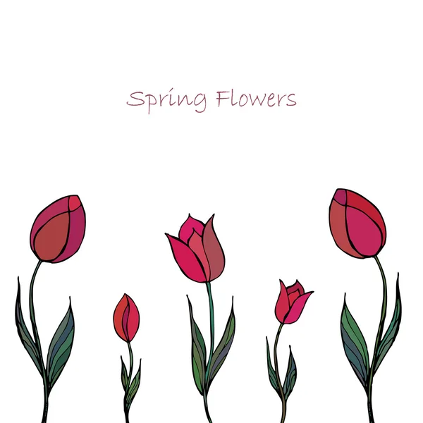 Fondo floral de primavera con tulipanes — Vector de stock