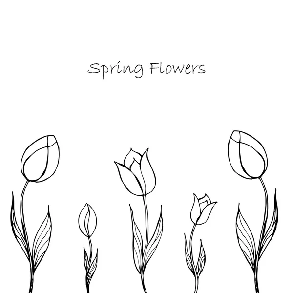 Fondo floral de primavera con tulipanes — Vector de stock