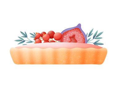 Böğürtlenli tatlı tart ve taze incir meyvesi ve üzümlü pembe kremalı meyve vektör tasarımı.