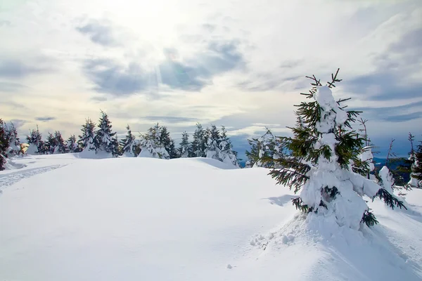 Takas tepe üzerinde