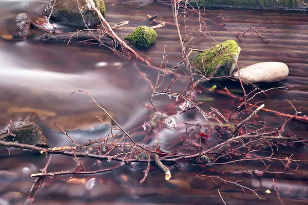 Ctream yosun kaplı kaya