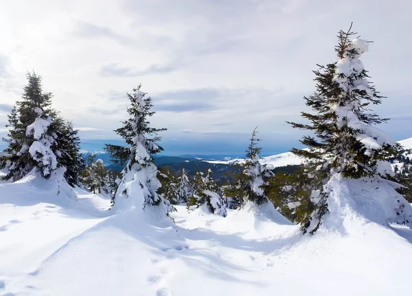 Karla kaplı Temizleme