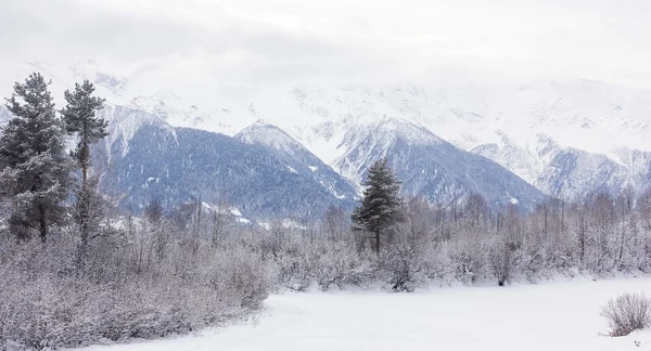 Kış Dağı Manzarası