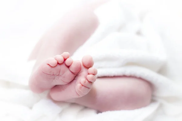 Baby's feet — Stock Photo, Image