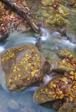 Su ıslak taşlar arasında akış