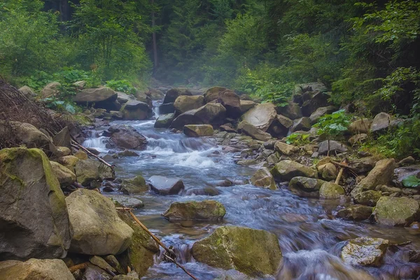 Streaming potok v létě — Stock fotografie