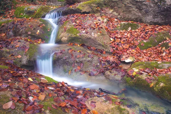 Piccola cascata d'autunno — Foto Stock