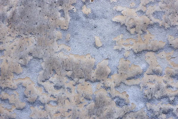 Bir duvar eski sıva