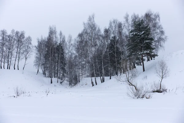 A Rússia. Paisagem inverno . — Fotografia de Stock