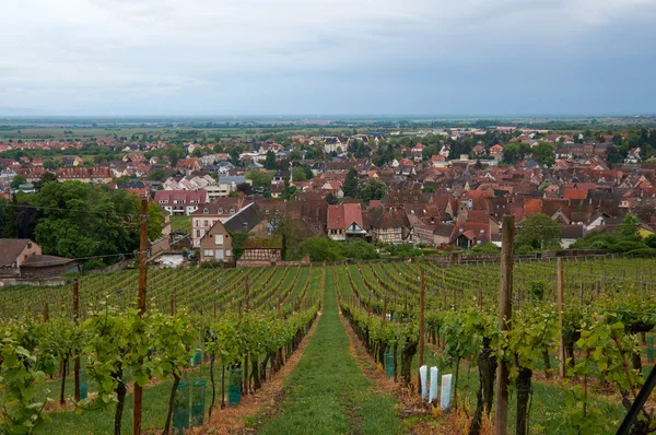 Trasa podróży wina we Francji — Zdjęcie stockowe