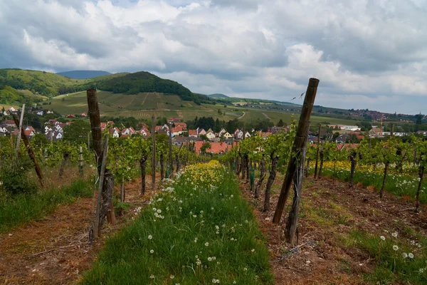 Trasa podróży wina we Francji. La route des vins. — Zdjęcie stockowe