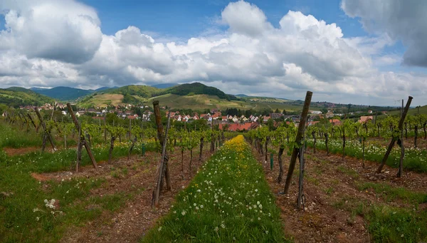 Trasa podróży wina we Francji. La route des vins. — Zdjęcie stockowe