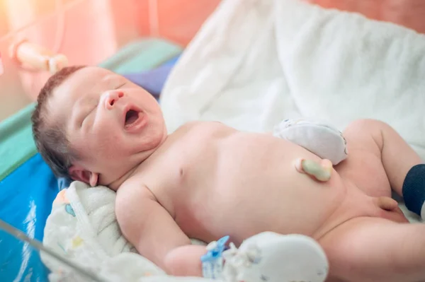 One-day-old newborn : A newborn baby lies in a baby bed after just giving birth in a hospital delivery room. selective focus.