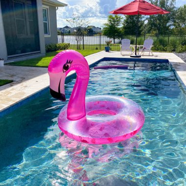 Güneşli bir yaz gününde, arka bahçede yüzen pembe bir flamingo..