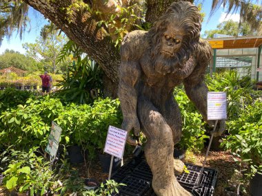 Orlando, FL USA - 19 Mayıs 2020: Orlando, Florida 'da bir bahçe dükkanında kocaayak ahşap heykeli.