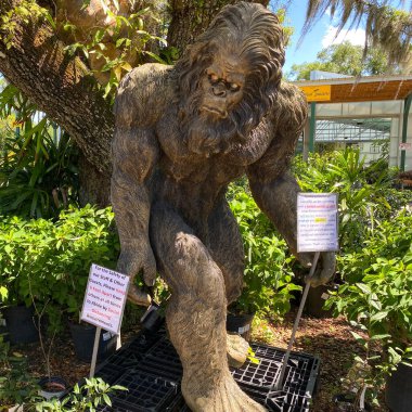 Orlando, FL USA - 19 Mayıs 2020: Orlando, Florida 'da bir bahçe dükkanında kocaayak ahşap heykeli.