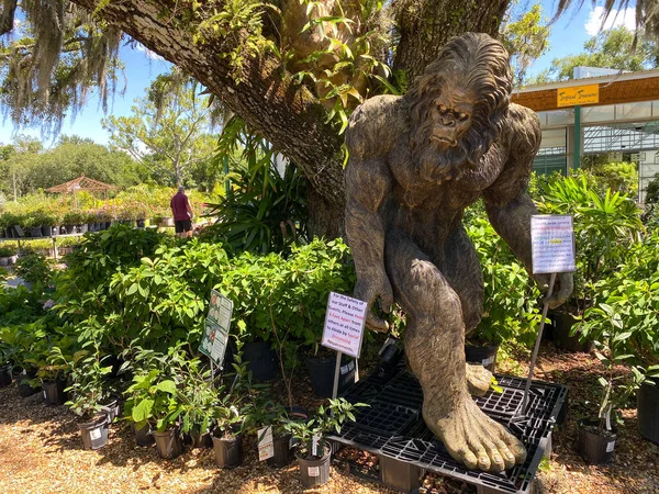 Orlando, FL USA - 19 Mayıs 2020: Orlando, Florida 'da bir bahçe dükkanında kocaayak ahşap heykeli.