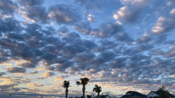 Zonsopgang Met Palmbomen Een Buurt Orlando Florida — Stockfoto