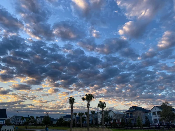 Сонячний Схід Пальмами Районі Орландо Флорида — стокове фото