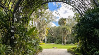 Güzel bir tropikal botanik bahçesine açılan kemer kafesi ile çevrili bir kaya yolu.