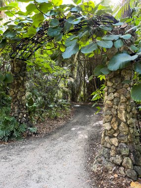 Botanik bahçesindeki bir taş ve metal kafesin içinden geçen bir kaya yolu..
