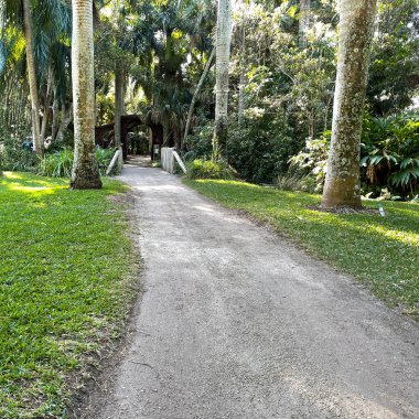 Florida 'da tropikal bir botanik bahçesinde yürüyen eğri bir kaya patikası..