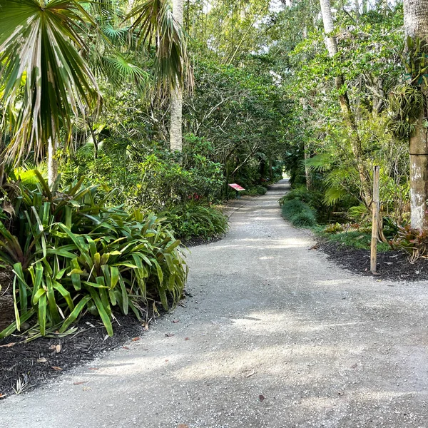 Zakřivená Skalní Pěšina Tropické Botanické Zahradě Floridě — Stock fotografie