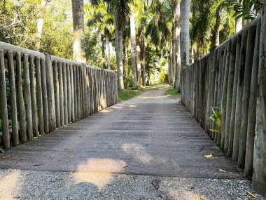 Florida 'nın tropikal botanik bahçesinde gri ahşap bir köprü..