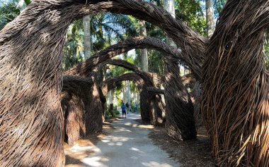 Vero Beach, Florida 'da tropik bir botanik bahçesinde dallardan yapılmış sanatsal kemerler..