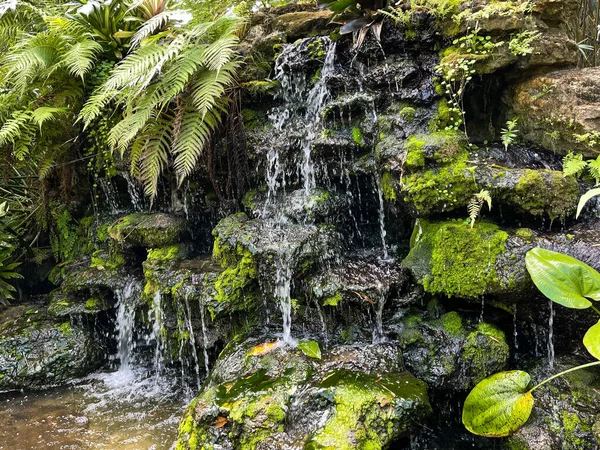 A tropical waterfall in a botanical garden in Vero Beach, Florida.