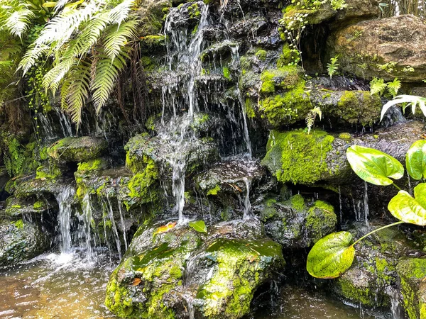 Ett Tropiskt Vattenfall Botanisk Trädgård Vero Beach Florida — Stockfoto